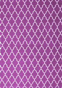 Trellis Purple Modern Rug, con2435pur