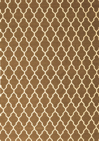 Trellis Brown Modern Rug, con2435brn