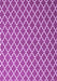Machine Washable Trellis Purple Modern Area Rugs, wshcon2435pur