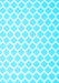 Machine Washable Trellis Light Blue Modern Rug, wshcon2437lblu