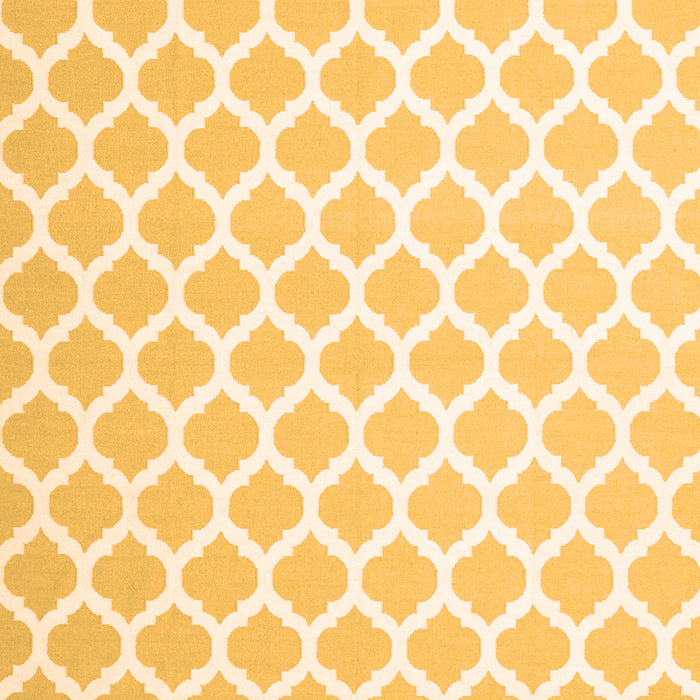 Trellis Orange Modern Rug, con2437org