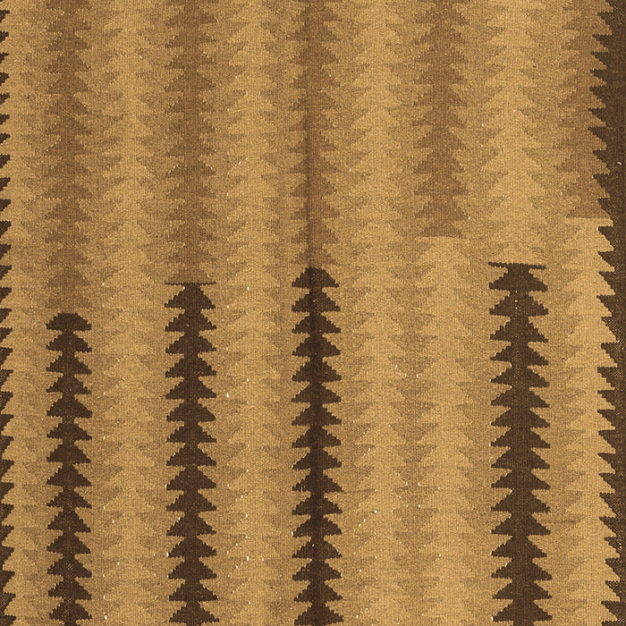 Southwestern Brown Country Rug, con2439brn