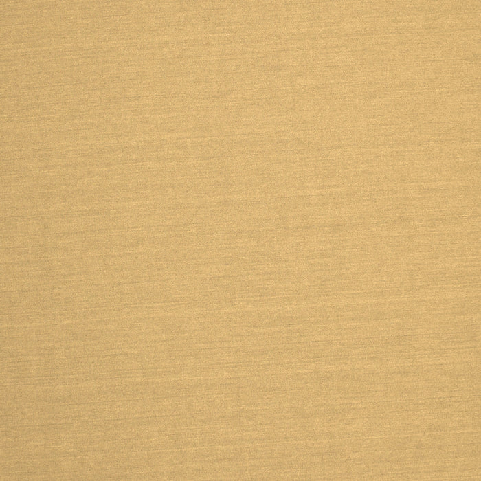 Square Solid Brown Modern Rug, con243brn