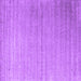 Square Abstract Purple Contemporary Rug, con2442pur