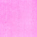 Square Machine Washable Solid Pink Modern Rug, wshcon2457pnk