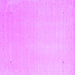 Square Machine Washable Solid Purple Modern Area Rugs, wshcon2464pur
