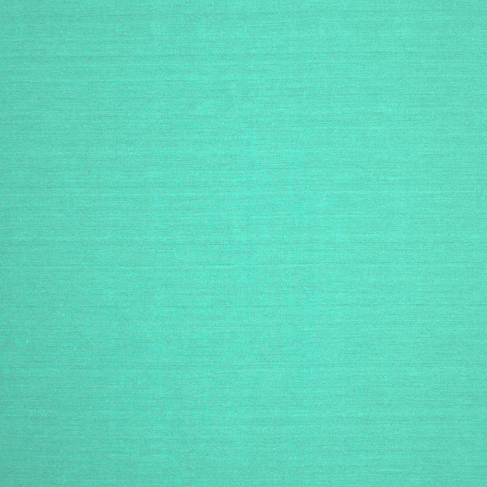 Square Solid Turquoise Modern Rug, con246turq