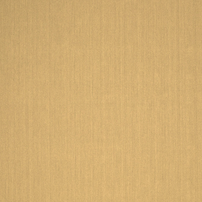 Solid Brown Modern Rug, con246brn