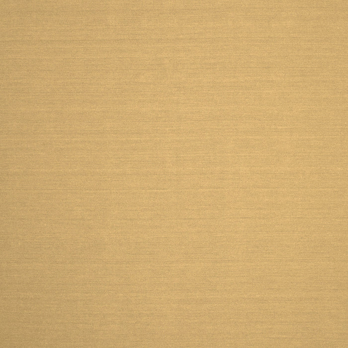 Square Solid Brown Modern Rug, con246brn