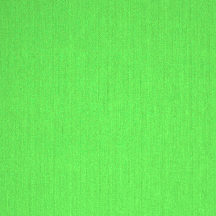 Solid Green Modern Rug, con246grn