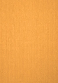 Solid Orange Modern Rug, con246org