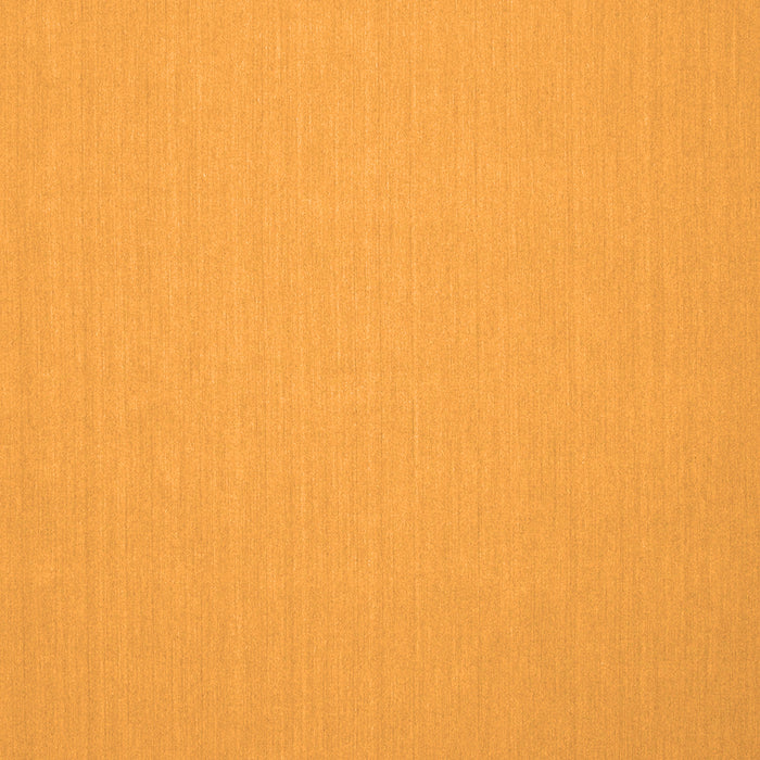 Solid Orange Modern Rug, con246org