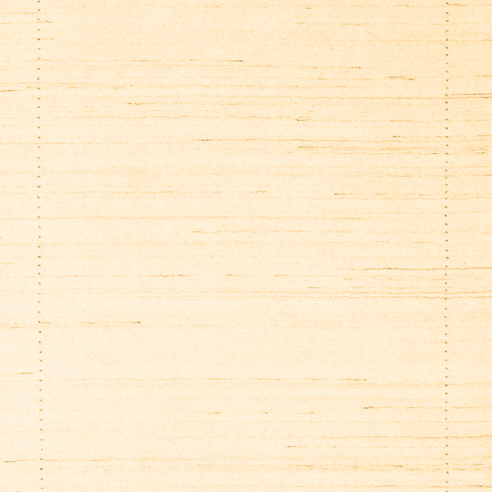 Machine Washable Solid Brown Modern Rug, wshcon2474brn