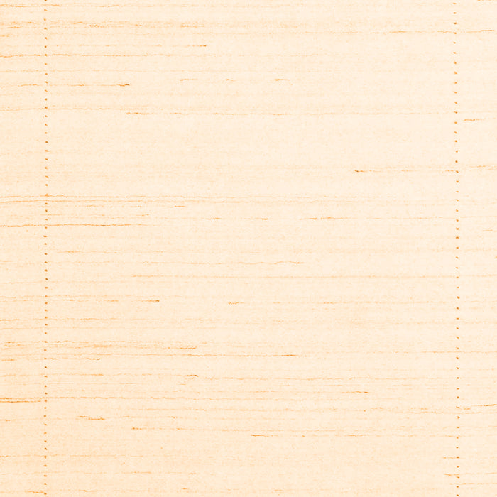 Solid Orange Modern Rug, con2474org