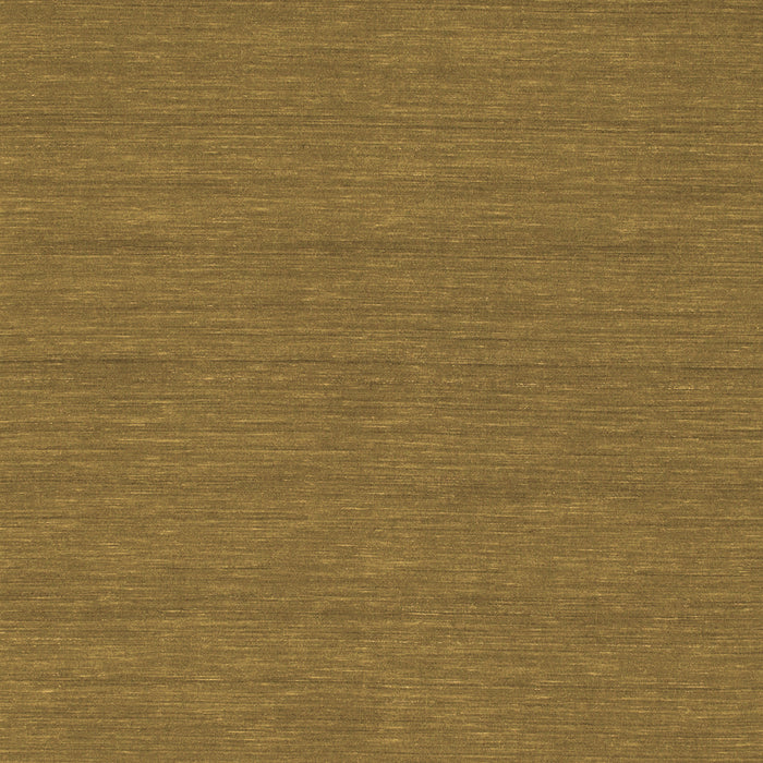 Abstract Brown Contemporary Rug, con249brn