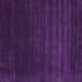 Square Abstract Purple Contemporary Rug, con24pur