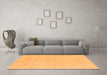 Machine Washable Solid Orange Modern Area Rugs in a Living Room, wshcon2515org