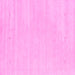 Square Machine Washable Solid Pink Modern Rug, wshcon2516pnk