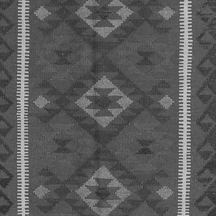 Oriental Gray Traditional Rug, con2526gry