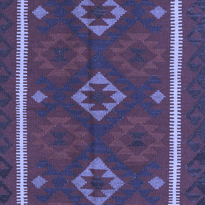 Oriental Blue Traditional Rug, con2526blu