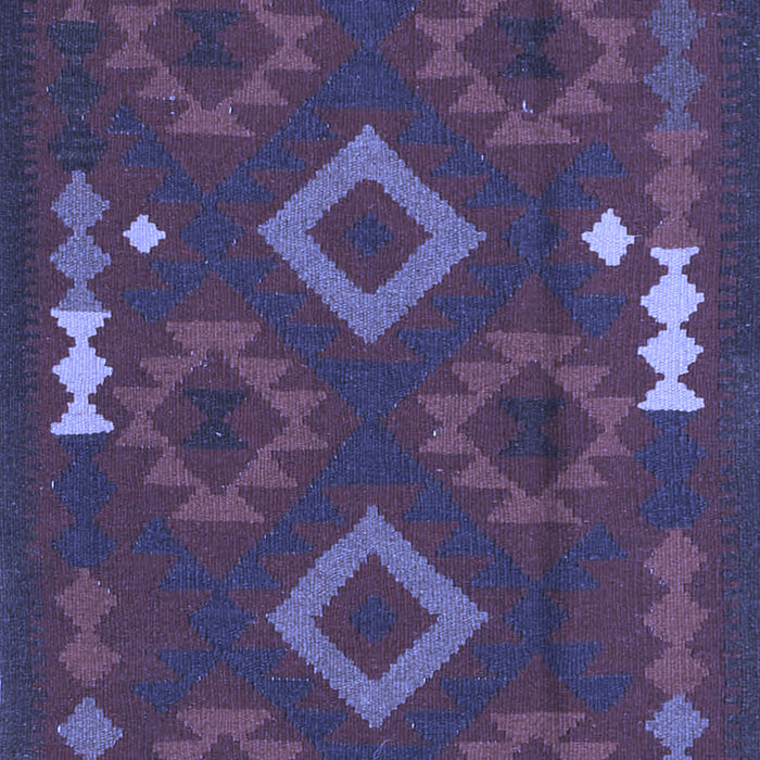 Oriental Blue Traditional Rug, con2527blu