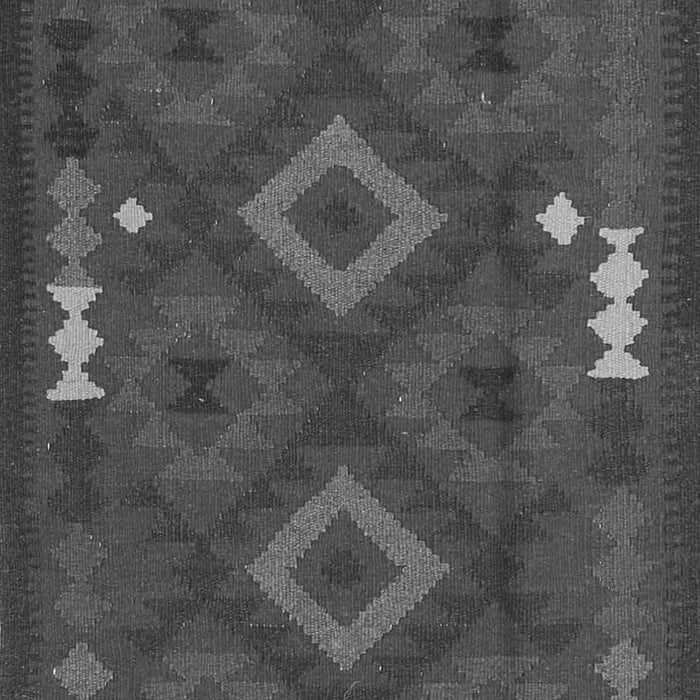 Oriental Gray Traditional Rug, con2527gry