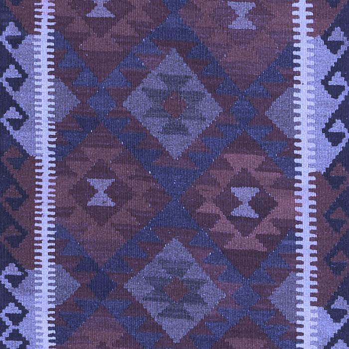Oriental Blue Traditional Rug, con2529blu