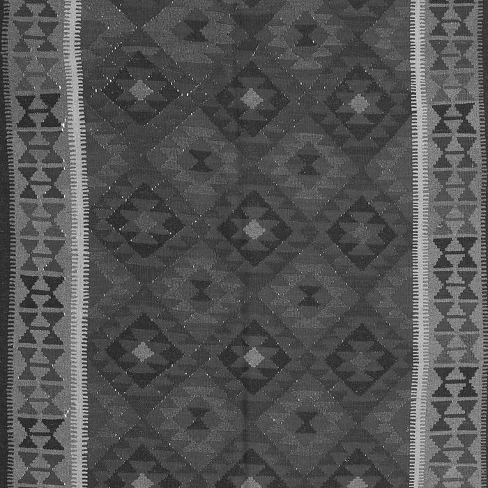 Oriental Gray Traditional Rug, con2542gry