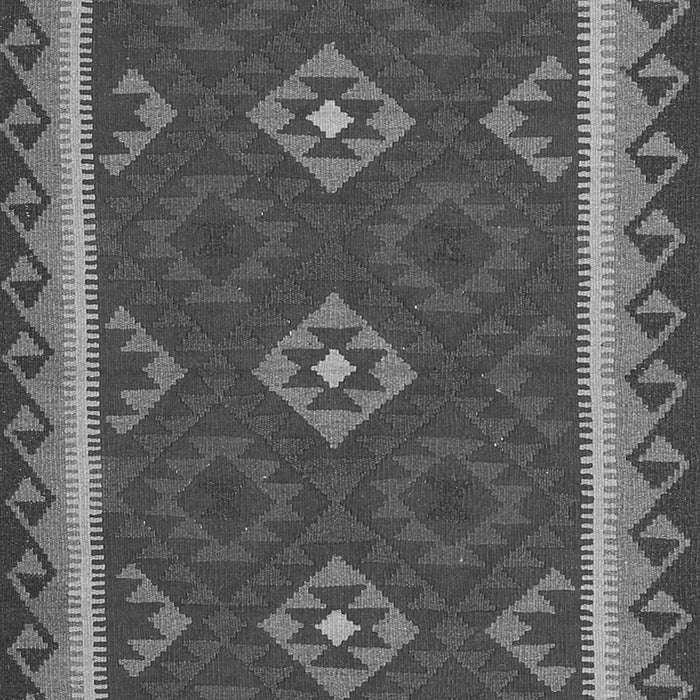 Oriental Gray Traditional Rug, con2543gry