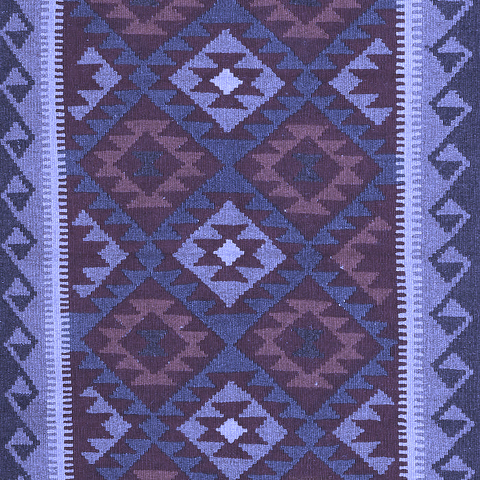 Oriental Blue Traditional Rug, con2543blu
