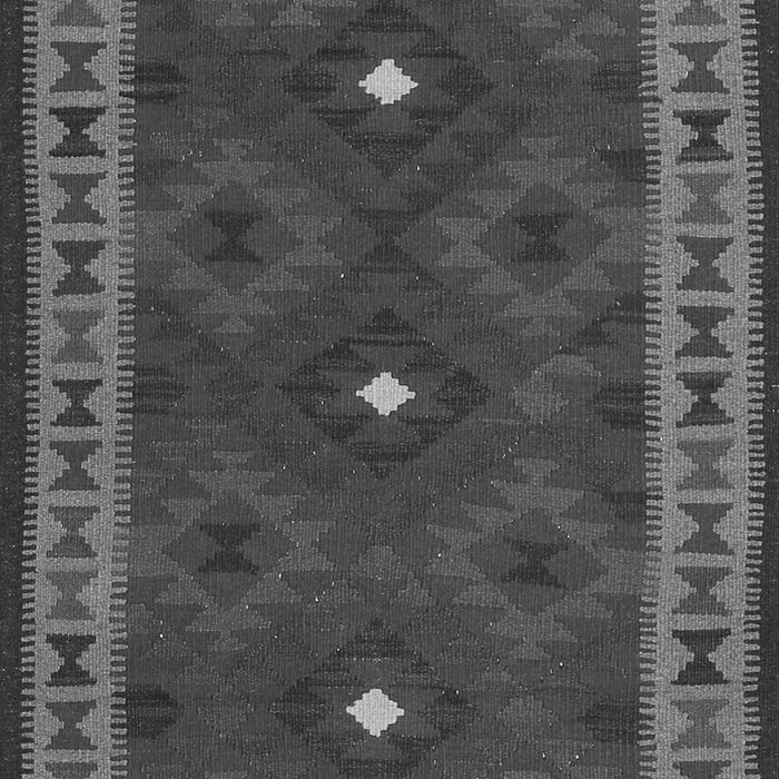 Oriental Gray Traditional Rug, con2545gry