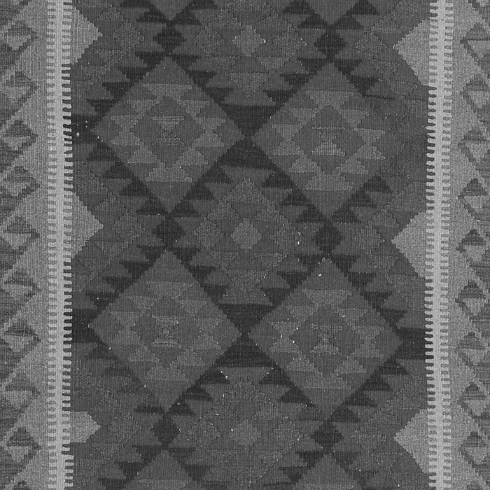 Oriental Gray Traditional Rug, con2546gry