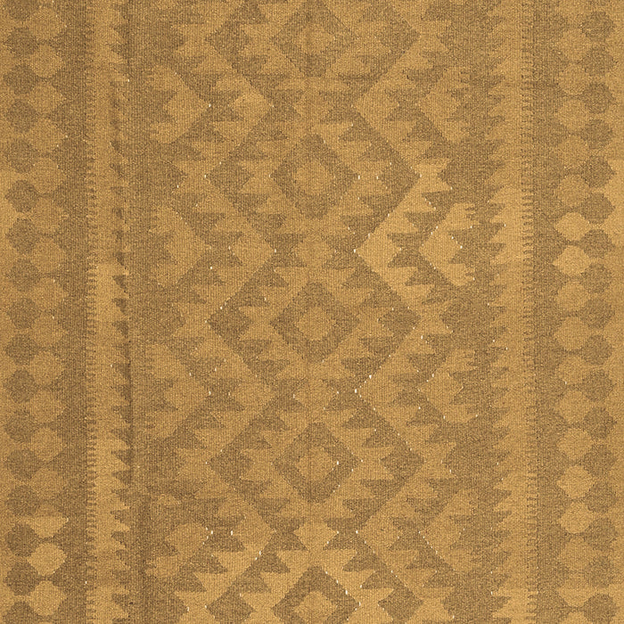 Machine Washable Southwestern Brown Country Rug, wshcon2547brn