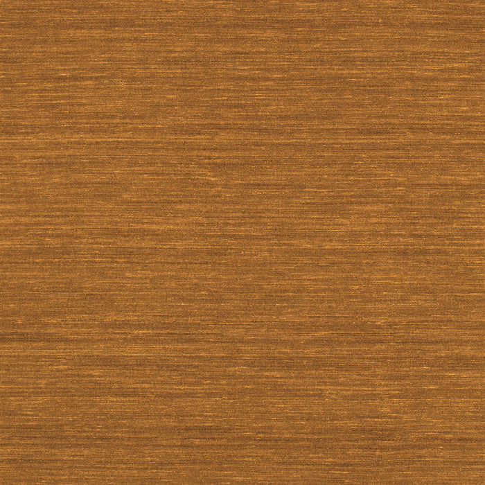 Abstract Orange Contemporary Rug, con254org
