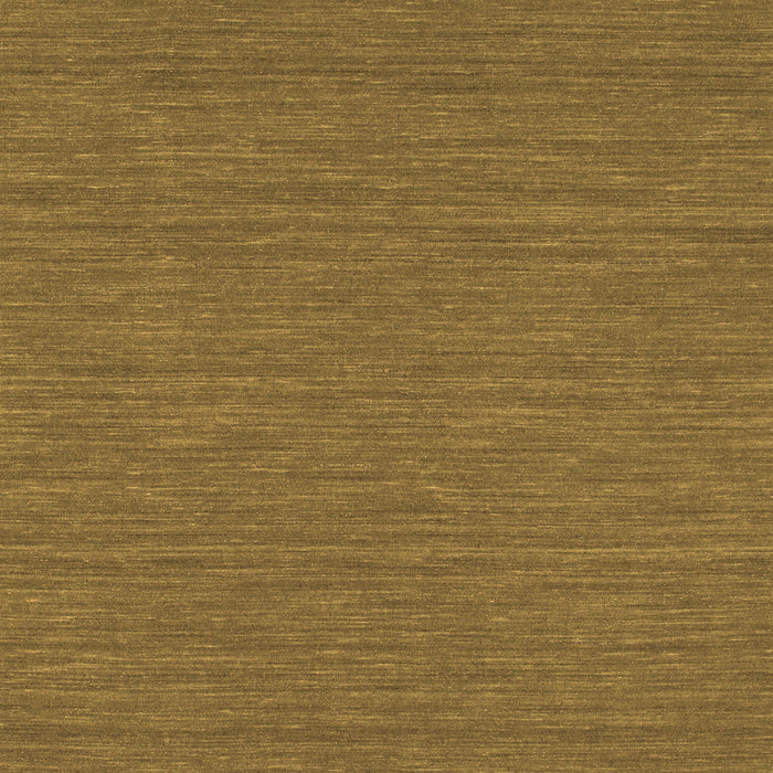 Abstract Brown Contemporary Rug, con254brn