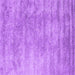 Square Abstract Purple Contemporary Rug, con2550pur