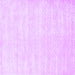 Square Machine Washable Solid Purple Modern Area Rugs, wshcon2554pur
