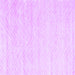 Square Machine Washable Solid Purple Modern Area Rugs, wshcon2559pur