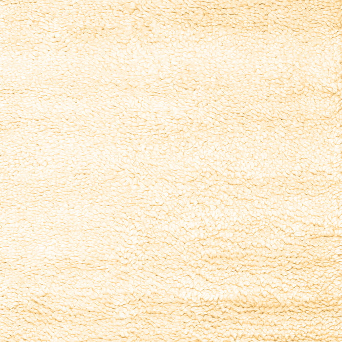 Solid Brown Modern Rug, con2560brn