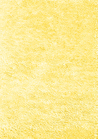 Solid Yellow Modern Rug, con2561yw