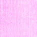 Square Solid Pink Modern Rug, con2566pnk