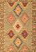 Machine Washable Southwestern Brown Country Rug, wshcon2573brn