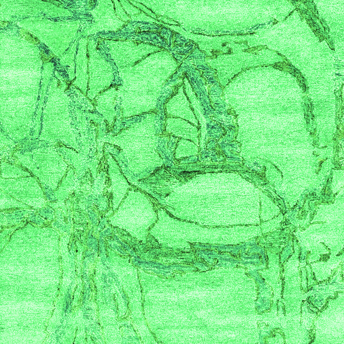 Abstract Green Contemporary Rug, con2596grn