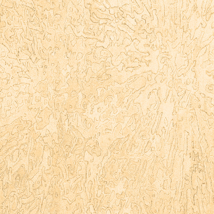 Square Solid Brown Modern Rug, con2598brn