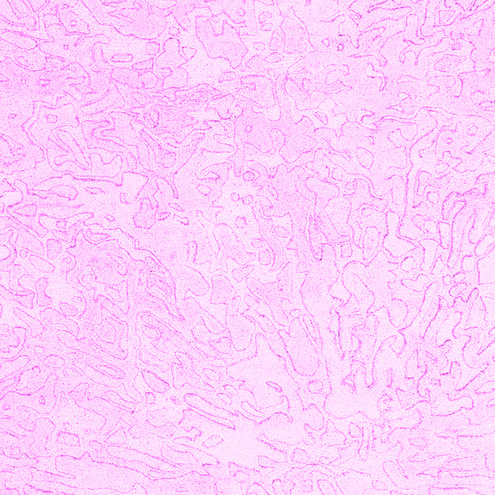 Solid Pink Modern Rug, con2598pnk