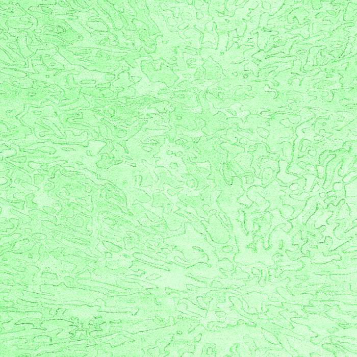 Square Solid Emerald Green Modern Rug, con2598emgrn