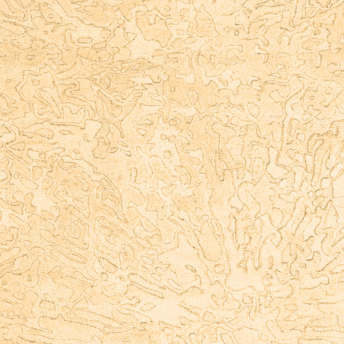 Solid Brown Modern Rug, con2598brn