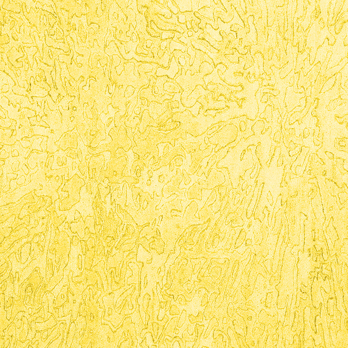 Square Solid Yellow Modern Rug, con2598yw
