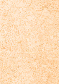 Solid Orange Modern Rug, con2598org