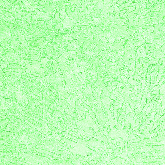 Solid Green Modern Rug, con2598grn